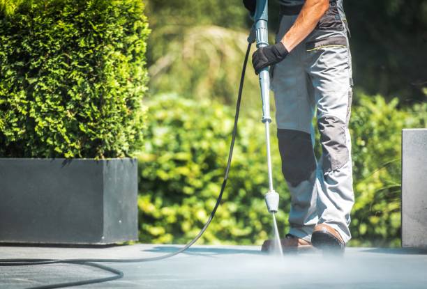 Best Solar Panel Cleaning  in Elmendorf, TX