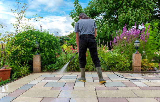 Best Animal Enclosure Cleaning  in Elmendorf, TX
